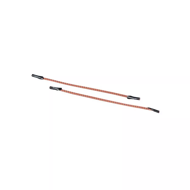 Buddy - BASIL - Panier Arrière Pour Chien 8 Buddy - BASIL - Panier Arrière Pour Chien – Image 8