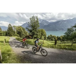 GoRoc X 2.10 - Vélo électrique Flyer -vélo Soldes Magasin goroc x 210 flyer velo electrique 3